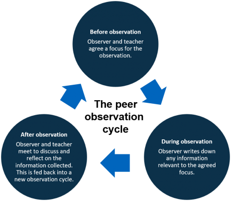 peer-observation-cycle